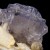 Fluorite and Baryte Jaimina Mine M04883